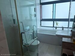 Rhapsody On Mount Elizabeth (D9), Apartment #581358941